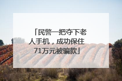 民警一把夺下老人手机，成功保住71万元被骗款